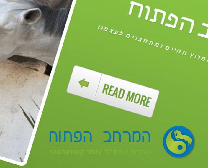 המרחב הפתוח – בניית אתר המרחב הפתוח - בניית אתר